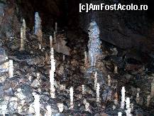 [P09] Formatiuni de stalagmite din Galeria Lumanarilor. » foto by pepsi70ro
 - 
<span class="allrVoted glyphicon glyphicon-heart hidden" id="av170697"></span>
<a class="m-l-10 hidden" id="sv170697" onclick="voting_Foto_DelVot(,170697,4024)" role="button">șterge vot <span class="glyphicon glyphicon-remove"></span></a>
<a id="v9170697" class=" c-red"  onclick="voting_Foto_SetVot(170697)" role="button"><span class="glyphicon glyphicon-heart-empty"></span> <b>LIKE</b> = Votează poza</a> <img class="hidden"  id="f170697W9" src="/imagini/loader.gif" border="0" /><span class="AjErrMes hidden" id="e170697ErM"></span>