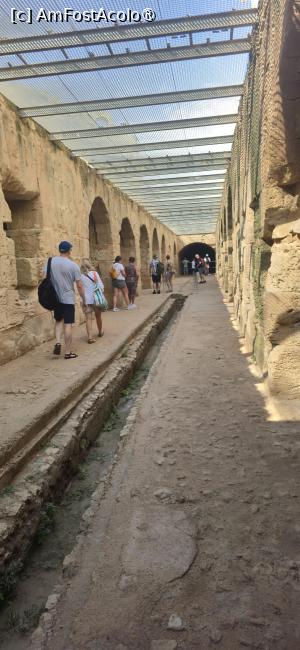 [P21] 20. Sub arenă, în zona centrală, este un culoar cu încăperi pe ambele laturi » foto by msnd
 - 
<span class="allrVoted glyphicon glyphicon-heart hidden" id="av1548340"></span>
<a class="m-l-10 hidden" id="sv1548340" onclick="voting_Foto_DelVot(,1548340,4044)" role="button">șterge vot <span class="glyphicon glyphicon-remove"></span></a>
<a id="v91548340" class=" c-red"  onclick="voting_Foto_SetVot(1548340)" role="button"><span class="glyphicon glyphicon-heart-empty"></span> <b>LIKE</b> = Votează poza</a> <img class="hidden"  id="f1548340W9" src="/imagini/loader.gif" border="0" /><span class="AjErrMes hidden" id="e1548340ErM"></span>
