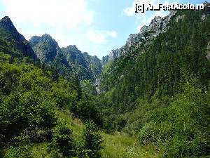 P12 [AUG-2014] Valea Bucşoiului, mărginită de Creasta Balaurului (Bucşoiu Mic) în stînga şi Creasta Văii Rele (Bucşoiul Mare) în dreapta