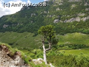 P13 [JUL-2020] Spectacolul naturii în Munții Bucegi.