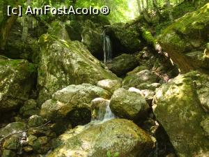 [P32] Un pârâiaş formează mici cascade pe partea dreaptă a potecii. Loc pentru un mic popas şi moment potrivit pentru alte fotografii reuşite.  » foto by Floryn81
 - 
<span class="allrVoted glyphicon glyphicon-heart hidden" id="av869581"></span>
<a class="m-l-10 hidden" id="sv869581" onclick="voting_Foto_DelVot(,869581,4076)" role="button">șterge vot <span class="glyphicon glyphicon-remove"></span></a>
<a id="v9869581" class=" c-red"  onclick="voting_Foto_SetVot(869581)" role="button"><span class="glyphicon glyphicon-heart-empty"></span> <b>LIKE</b> = Votează poza</a> <img class="hidden"  id="f869581W9" src="/imagini/loader.gif" border="0" /><span class="AjErrMes hidden" id="e869581ErM"></span>