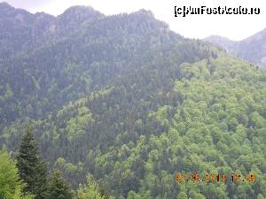 P03 [MAY-2014] peisaj din muntii Bucegi