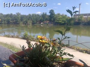 [P06] De pe terasă, în fundal parcul și Turnul de Parașutism » foto by laurand
 - 
<span class="allrVoted glyphicon glyphicon-heart hidden" id="av1549493"></span>
<a class="m-l-10 hidden" id="sv1549493" onclick="voting_Foto_DelVot(,1549493,4083)" role="button">șterge vot <span class="glyphicon glyphicon-remove"></span></a>
<a id="v91549493" class=" c-red"  onclick="voting_Foto_SetVot(1549493)" role="button"><span class="glyphicon glyphicon-heart-empty"></span> <b>LIKE</b> = Votează poza</a> <img class="hidden"  id="f1549493W9" src="/imagini/loader.gif" border="0" /><span class="AjErrMes hidden" id="e1549493ErM"></span>