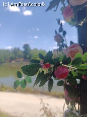 [P08] Delicatețe și parfum » foto by laurand
 - 
<span class="allrVoted glyphicon glyphicon-heart hidden" id="av1549495"></span>
<a class="m-l-10 hidden" id="sv1549495" onclick="voting_Foto_DelVot(,1549495,4083)" role="button">șterge vot <span class="glyphicon glyphicon-remove"></span></a>
<a id="v91549495" class=" c-red"  onclick="voting_Foto_SetVot(1549495)" role="button"><span class="glyphicon glyphicon-heart-empty"></span> <b>LIKE</b> = Votează poza</a> <img class="hidden"  id="f1549495W9" src="/imagini/loader.gif" border="0" /><span class="AjErrMes hidden" id="e1549495ErM"></span>