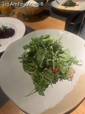 [P08] salata ruccola » foto by Yersinia Pestis
 - 
<span class="allrVoted glyphicon glyphicon-heart hidden" id="av1471959"></span>
<a class="m-l-10 hidden" id="sv1471959" onclick="voting_Foto_DelVot(,1471959,4083)" role="button">șterge vot <span class="glyphicon glyphicon-remove"></span></a>
<a id="v91471959" class=" c-red"  onclick="voting_Foto_SetVot(1471959)" role="button"><span class="glyphicon glyphicon-heart-empty"></span> <b>LIKE</b> = Votează poza</a> <img class="hidden"  id="f1471959W9" src="/imagini/loader.gif" border="0" /><span class="AjErrMes hidden" id="e1471959ErM"></span>