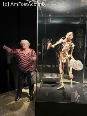 [P11] BODY WORLDS (expozitie de corpuri si organe plastinate) si si eu in postura artistului, imi lipseste insa ceva :) » foto by mishu
 - 
<span class="allrVoted glyphicon glyphicon-heart hidden" id="av1472931"></span>
<a class="m-l-10 hidden" id="sv1472931" onclick="voting_Foto_DelVot(,1472931,4083)" role="button">șterge vot <span class="glyphicon glyphicon-remove"></span></a>
<a id="v91472931" class=" c-red"  onclick="voting_Foto_SetVot(1472931)" role="button"><span class="glyphicon glyphicon-heart-empty"></span> <b>LIKE</b> = Votează poza</a> <img class="hidden"  id="f1472931W9" src="/imagini/loader.gif" border="0" /><span class="AjErrMes hidden" id="e1472931ErM"></span>