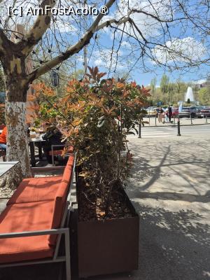 [P03] Restaurant Presto - vedere spre terasă » foto by ANILU
 - 
<span class="allrVoted glyphicon glyphicon-heart hidden" id="av1480644"></span>
<a class="m-l-10 hidden" id="sv1480644" onclick="voting_Foto_DelVot(,1480644,4083)" role="button">șterge vot <span class="glyphicon glyphicon-remove"></span></a>
<a id="v91480644" class=" c-red"  onclick="voting_Foto_SetVot(1480644)" role="button"><span class="glyphicon glyphicon-heart-empty"></span> <b>LIKE</b> = Votează poza</a> <img class="hidden"  id="f1480644W9" src="/imagini/loader.gif" border="0" /><span class="AjErrMes hidden" id="e1480644ErM"></span>