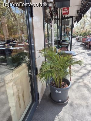 [P04] Restaurant Presto - vedere pe trotuar » foto by ANILU
 - 
<span class="allrVoted glyphicon glyphicon-heart hidden" id="av1480645"></span>
<a class="m-l-10 hidden" id="sv1480645" onclick="voting_Foto_DelVot(,1480645,4083)" role="button">șterge vot <span class="glyphicon glyphicon-remove"></span></a>
<a id="v91480645" class=" c-red"  onclick="voting_Foto_SetVot(1480645)" role="button"><span class="glyphicon glyphicon-heart-empty"></span> <b>LIKE</b> = Votează poza</a> <img class="hidden"  id="f1480645W9" src="/imagini/loader.gif" border="0" /><span class="AjErrMes hidden" id="e1480645ErM"></span>