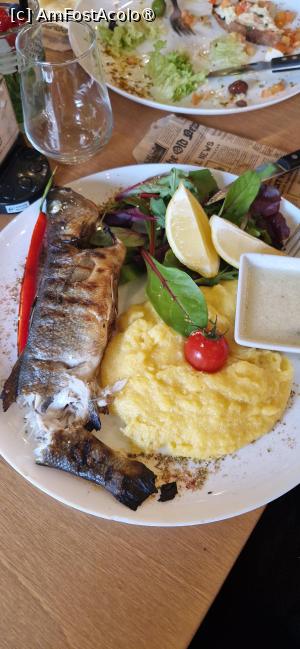 [P06] 6. Biban de mare, cu mămăliguță și mujdei. » foto by doinafil
 - 
<span class="allrVoted glyphicon glyphicon-heart hidden" id="av1515778"></span>
<a class="m-l-10 hidden" id="sv1515778" onclick="voting_Foto_DelVot(,1515778,4083)" role="button">șterge vot <span class="glyphicon glyphicon-remove"></span></a>
<a id="v91515778" class=" c-red"  onclick="voting_Foto_SetVot(1515778)" role="button"><span class="glyphicon glyphicon-heart-empty"></span> <b>LIKE</b> = Votează poza</a> <img class="hidden"  id="f1515778W9" src="/imagini/loader.gif" border="0" /><span class="AjErrMes hidden" id="e1515778ErM"></span>