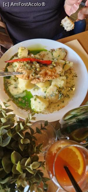 [P08] 8. Una din porțiile de șalău meuniere. » foto by doinafil
 - 
<span class="allrVoted glyphicon glyphicon-heart hidden" id="av1515780"></span>
<a class="m-l-10 hidden" id="sv1515780" onclick="voting_Foto_DelVot(,1515780,4083)" role="button">șterge vot <span class="glyphicon glyphicon-remove"></span></a>
<a id="v91515780" class=" c-red"  onclick="voting_Foto_SetVot(1515780)" role="button"><span class="glyphicon glyphicon-heart-empty"></span> <b>LIKE</b> = Votează poza</a> <img class="hidden"  id="f1515780W9" src="/imagini/loader.gif" border="0" /><span class="AjErrMes hidden" id="e1515780ErM"></span>