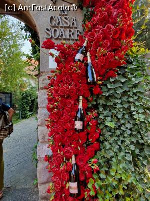 [P03] 3. Decor la intrare; printre flori se văd sticle de vin. » foto by doinafil
 - 
<span class="allrVoted glyphicon glyphicon-heart hidden" id="av1544359"></span>
<a class="m-l-10 hidden" id="sv1544359" onclick="voting_Foto_DelVot(,1544359,4083)" role="button">șterge vot <span class="glyphicon glyphicon-remove"></span></a>
<a id="v91544359" class=" c-red"  onclick="voting_Foto_SetVot(1544359)" role="button"><span class="glyphicon glyphicon-heart-empty"></span> <b>LIKE</b> = Votează poza</a> <img class="hidden"  id="f1544359W9" src="/imagini/loader.gif" border="0" /><span class="AjErrMes hidden" id="e1544359ErM"></span>