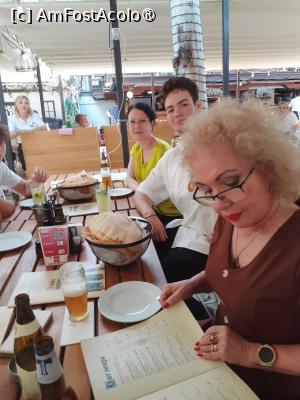 [P11] Asteptând mâncarea » foto by Michi
 - 
<span class="allrVoted glyphicon glyphicon-heart hidden" id="av1487717"></span>
<a class="m-l-10 hidden" id="sv1487717" onclick="voting_Foto_DelVot(,1487717,4083)" role="button">șterge vot <span class="glyphicon glyphicon-remove"></span></a>
<a id="v91487717" class=" c-red"  onclick="voting_Foto_SetVot(1487717)" role="button"><span class="glyphicon glyphicon-heart-empty"></span> <b>LIKE</b> = Votează poza</a> <img class="hidden"  id="f1487717W9" src="/imagini/loader.gif" border="0" /><span class="AjErrMes hidden" id="e1487717ErM"></span>