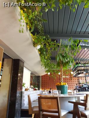 [P10] Salonul interior » foto by Michi
 - 
<span class="allrVoted glyphicon glyphicon-heart hidden" id="av1525675"></span>
<a class="m-l-10 hidden" id="sv1525675" onclick="voting_Foto_DelVot(,1525675,4083)" role="button">șterge vot <span class="glyphicon glyphicon-remove"></span></a>
<a id="v91525675" class=" c-red"  onclick="voting_Foto_SetVot(1525675)" role="button"><span class="glyphicon glyphicon-heart-empty"></span> <b>LIKE</b> = Votează poza</a> <img class="hidden"  id="f1525675W9" src="/imagini/loader.gif" border="0" /><span class="AjErrMes hidden" id="e1525675ErM"></span>