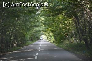 P01 [SEP-2017] 'Tunelul' din pădure în apropiere de comuna Mislea, jud. Prahova.