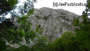 [P11]  -- <small>// FĂRĂ DESCRIERE</small> » foto by Remicade
 - 
<span class="allrVoted glyphicon glyphicon-heart hidden" id="av344714"></span>
<a class="m-l-10 hidden" id="sv344714" onclick="voting_Foto_DelVot(,344714,4100)" role="button">șterge vot <span class="glyphicon glyphicon-remove"></span></a>
<a id="v9344714" class=" c-red"  onclick="voting_Foto_SetVot(344714)" role="button"><span class="glyphicon glyphicon-heart-empty"></span> <b>LIKE</b> = Votează poza</a> <img class="hidden"  id="f344714W9" src="/imagini/loader.gif" border="0" /><span class="AjErrMes hidden" id="e344714ErM"></span>