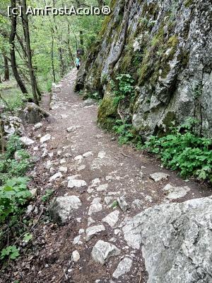 [P13] Cheile Turzii, jud. Cluj, mai 2017 » foto by Dana2008
 - 
<span class="allrVoted glyphicon glyphicon-heart hidden" id="av855623"></span>
<a class="m-l-10 hidden" id="sv855623" onclick="voting_Foto_DelVot(,855623,4100)" role="button">șterge vot <span class="glyphicon glyphicon-remove"></span></a>
<a id="v9855623" class=" c-red"  onclick="voting_Foto_SetVot(855623)" role="button"><span class="glyphicon glyphicon-heart-empty"></span> <b>LIKE</b> = Votează poza</a> <img class="hidden"  id="f855623W9" src="/imagini/loader.gif" border="0" /><span class="AjErrMes hidden" id="e855623ErM"></span>