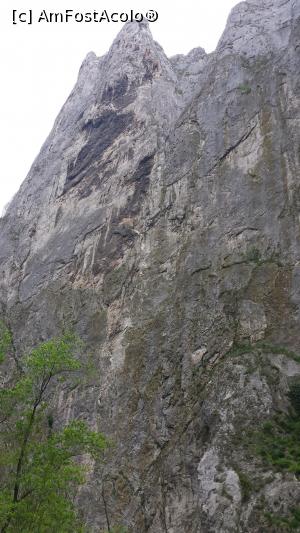 [P14] Cheile Turzii - colți de stăncă » foto by costy69*
 - 
<span class="allrVoted glyphicon glyphicon-heart hidden" id="av709867"></span>
<a class="m-l-10 hidden" id="sv709867" onclick="voting_Foto_DelVot(,709867,4100)" role="button">șterge vot <span class="glyphicon glyphicon-remove"></span></a>
<a id="v9709867" class=" c-red"  onclick="voting_Foto_SetVot(709867)" role="button"><span class="glyphicon glyphicon-heart-empty"></span> <b>LIKE</b> = Votează poza</a> <img class="hidden"  id="f709867W9" src="/imagini/loader.gif" border="0" /><span class="AjErrMes hidden" id="e709867ErM"></span>