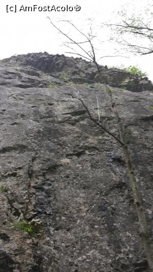 [P24]  -- <small>// FĂRĂ DESCRIERE</small> » foto by costy69*
 - 
<span class="allrVoted glyphicon glyphicon-heart hidden" id="av709877"></span>
<a class="m-l-10 hidden" id="sv709877" onclick="voting_Foto_DelVot(,709877,4100)" role="button">șterge vot <span class="glyphicon glyphicon-remove"></span></a>
<a id="v9709877" class=" c-red"  onclick="voting_Foto_SetVot(709877)" role="button"><span class="glyphicon glyphicon-heart-empty"></span> <b>LIKE</b> = Votează poza</a> <img class="hidden"  id="f709877W9" src="/imagini/loader.gif" border="0" /><span class="AjErrMes hidden" id="e709877ErM"></span>