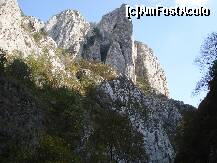 [P31]  -- <small>// FĂRĂ DESCRIERE</small> » foto by libertango
 - 
<span class="allrVoted glyphicon glyphicon-heart hidden" id="av208480"></span>
<a class="m-l-10 hidden" id="sv208480" onclick="voting_Foto_DelVot(,208480,4100)" role="button">șterge vot <span class="glyphicon glyphicon-remove"></span></a>
<a id="v9208480" class=" c-red"  onclick="voting_Foto_SetVot(208480)" role="button"><span class="glyphicon glyphicon-heart-empty"></span> <b>LIKE</b> = Votează poza</a> <img class="hidden"  id="f208480W9" src="/imagini/loader.gif" border="0" /><span class="AjErrMes hidden" id="e208480ErM"></span>