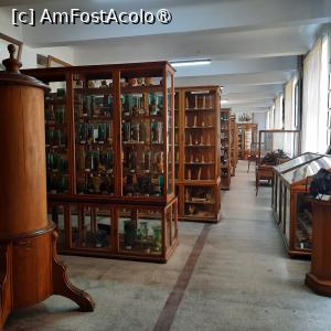 [P56] Cluj-Napoca, Grădina Botanică 'Alexandru Borza”, Muzeul Botanic, Vitrine » foto by mprofeanu
 - 
<span class="allrVoted glyphicon glyphicon-heart hidden" id="av1434833"></span>
<a class="m-l-10 hidden" id="sv1434833" onclick="voting_Foto_DelVot(,1434833,4148)" role="button">șterge vot <span class="glyphicon glyphicon-remove"></span></a>
<a id="v91434833" class=" c-red"  onclick="voting_Foto_SetVot(1434833)" role="button"><span class="glyphicon glyphicon-heart-empty"></span> <b>LIKE</b> = Votează poza</a> <img class="hidden"  id="f1434833W9" src="/imagini/loader.gif" border="0" /><span class="AjErrMes hidden" id="e1434833ErM"></span>