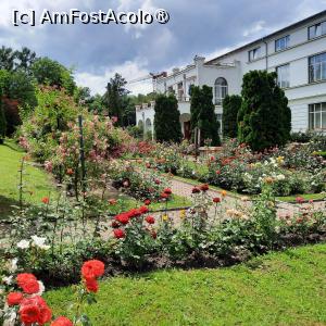 [P06] Cluj-Napoca, Grădina Botanică 'Alexandru Borza”, Rosarium și Clădirea Institutului Botanic » foto by mprofeanu
 - 
<span class="allrVoted glyphicon glyphicon-heart hidden" id="av1434783"></span>
<a class="m-l-10 hidden" id="sv1434783" onclick="voting_Foto_DelVot(,1434783,4148)" role="button">șterge vot <span class="glyphicon glyphicon-remove"></span></a>
<a id="v91434783" class=" c-red"  onclick="voting_Foto_SetVot(1434783)" role="button"><span class="glyphicon glyphicon-heart-empty"></span> <b>LIKE</b> = Votează poza</a> <img class="hidden"  id="f1434783W9" src="/imagini/loader.gif" border="0" /><span class="AjErrMes hidden" id="e1434783ErM"></span>