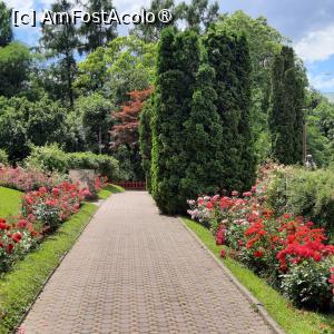 [P09] Cluj-Napoca, Grădina Botanică 'Alexandru Borza”, Rosarium » foto by mprofeanu
 - 
<span class="allrVoted glyphicon glyphicon-heart hidden" id="av1434786"></span>
<a class="m-l-10 hidden" id="sv1434786" onclick="voting_Foto_DelVot(,1434786,4148)" role="button">șterge vot <span class="glyphicon glyphicon-remove"></span></a>
<a id="v91434786" class=" c-red"  onclick="voting_Foto_SetVot(1434786)" role="button"><span class="glyphicon glyphicon-heart-empty"></span> <b>LIKE</b> = Votează poza</a> <img class="hidden"  id="f1434786W9" src="/imagini/loader.gif" border="0" /><span class="AjErrMes hidden" id="e1434786ErM"></span>