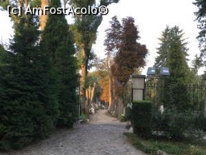 [P32] Sighisoara - Pe aici am vrut sa intru in cimitir dar latratul cateilor (i-am si vazut de fapt) m-au facut sa ma razgandesc » foto by mishu
 - 
<span class="allrVoted glyphicon glyphicon-heart hidden" id="av912915"></span>
<a class="m-l-10 hidden" id="sv912915" onclick="voting_Foto_DelVot(,912915,4175)" role="button">șterge vot <span class="glyphicon glyphicon-remove"></span></a>
<a id="v9912915" class=" c-red"  onclick="voting_Foto_SetVot(912915)" role="button"><span class="glyphicon glyphicon-heart-empty"></span> <b>LIKE</b> = Votează poza</a> <img class="hidden"  id="f912915W9" src="/imagini/loader.gif" border="0" /><span class="AjErrMes hidden" id="e912915ErM"></span>