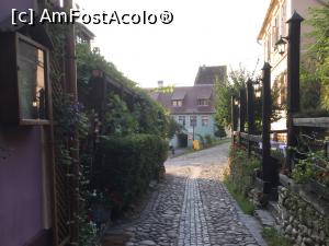 [P37] Sighisoara - Stradutele mici si inguste sunt minunate la primele ore ale diminetii » foto by mishu
 - 
<span class="allrVoted glyphicon glyphicon-heart hidden" id="av912920"></span>
<a class="m-l-10 hidden" id="sv912920" onclick="voting_Foto_DelVot(,912920,4175)" role="button">șterge vot <span class="glyphicon glyphicon-remove"></span></a>
<a id="v9912920" class=" c-red"  onclick="voting_Foto_SetVot(912920)" role="button"><span class="glyphicon glyphicon-heart-empty"></span> <b>LIKE</b> = Votează poza</a> <img class="hidden"  id="f912920W9" src="/imagini/loader.gif" border="0" /><span class="AjErrMes hidden" id="e912920ErM"></span>