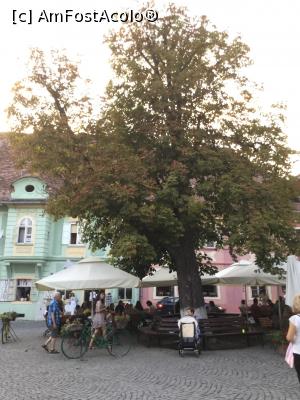 [P09] Sighisoara - Piata Cetatii si un loc de relaxare » foto by mishu
 - 
<span class="allrVoted glyphicon glyphicon-heart hidden" id="av912882"></span>
<a class="m-l-10 hidden" id="sv912882" onclick="voting_Foto_DelVot(,912882,4175)" role="button">șterge vot <span class="glyphicon glyphicon-remove"></span></a>
<a id="v9912882" class=" c-red"  onclick="voting_Foto_SetVot(912882)" role="button"><span class="glyphicon glyphicon-heart-empty"></span> <b>LIKE</b> = Votează poza</a> <img class="hidden"  id="f912882W9" src="/imagini/loader.gif" border="0" /><span class="AjErrMes hidden" id="e912882ErM"></span>