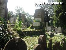 [P26] imagine din interirul cimitirului din deal » foto by ms65
 - 
<span class="allrVoted glyphicon glyphicon-heart hidden" id="av112855"></span>
<a class="m-l-10 hidden" id="sv112855" onclick="voting_Foto_DelVot(,112855,4175)" role="button">șterge vot <span class="glyphicon glyphicon-remove"></span></a>
<a id="v9112855" class=" c-red"  onclick="voting_Foto_SetVot(112855)" role="button"><span class="glyphicon glyphicon-heart-empty"></span> <b>LIKE</b> = Votează poza</a> <img class="hidden"  id="f112855W9" src="/imagini/loader.gif" border="0" /><span class="AjErrMes hidden" id="e112855ErM"></span>