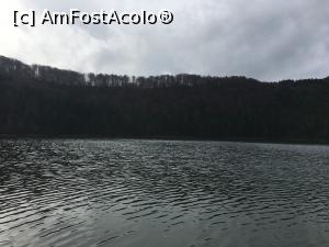 [P11] Lacul era foarte limpede. Cred că de la sulf, că tot sulf pun și eu în vin, să-l limpezească! :p » foto by Yersinia Pestis
 - 
<span class="allrVoted glyphicon glyphicon-heart hidden" id="av812226"></span>
<a class="m-l-10 hidden" id="sv812226" onclick="voting_Foto_DelVot(,812226,4197)" role="button">șterge vot <span class="glyphicon glyphicon-remove"></span></a>
<a id="v9812226" class=" c-red"  onclick="voting_Foto_SetVot(812226)" role="button"><span class="glyphicon glyphicon-heart-empty"></span> <b>LIKE</b> = Votează poza</a> <img class="hidden"  id="f812226W9" src="/imagini/loader.gif" border="0" /><span class="AjErrMes hidden" id="e812226ErM"></span>