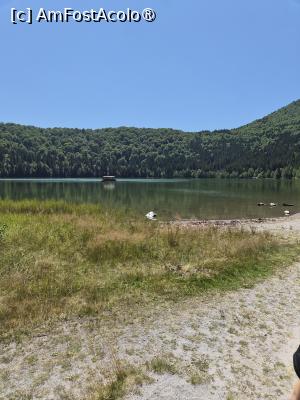 [P03] Lacul Sf Ana » foto by Kit
 - 
<span class="allrVoted glyphicon glyphicon-heart hidden" id="av1538523"></span>
<a class="m-l-10 hidden" id="sv1538523" onclick="voting_Foto_DelVot(,1538523,4197)" role="button">șterge vot <span class="glyphicon glyphicon-remove"></span></a>
<a id="v91538523" class=" c-red"  onclick="voting_Foto_SetVot(1538523)" role="button"><span class="glyphicon glyphicon-heart-empty"></span> <b>LIKE</b> = Votează poza</a> <img class="hidden"  id="f1538523W9" src="/imagini/loader.gif" border="0" /><span class="AjErrMes hidden" id="e1538523ErM"></span>