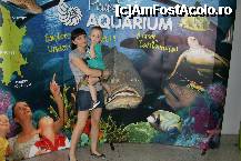 [P03] Aquarium Phuket » foto by mariarosa
 - 
<span class="allrVoted glyphicon glyphicon-heart hidden" id="av302209"></span>
<a class="m-l-10 hidden" id="sv302209" onclick="voting_Foto_DelVot(,302209,4203)" role="button">șterge vot <span class="glyphicon glyphicon-remove"></span></a>
<a id="v9302209" class=" c-red"  onclick="voting_Foto_SetVot(302209)" role="button"><span class="glyphicon glyphicon-heart-empty"></span> <b>LIKE</b> = Votează poza</a> <img class="hidden"  id="f302209W9" src="/imagini/loader.gif" border="0" /><span class="AjErrMes hidden" id="e302209ErM"></span>