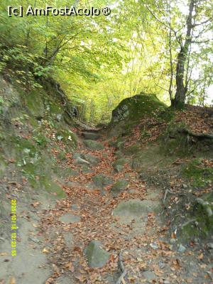 [P26] 26. Poteca urcă mai mult, sau mai puțin, abrupt. » foto by msnd
 - 
<span class="allrVoted glyphicon glyphicon-heart hidden" id="av1504624"></span>
<a class="m-l-10 hidden" id="sv1504624" onclick="voting_Foto_DelVot(,1504624,4219)" role="button">șterge vot <span class="glyphicon glyphicon-remove"></span></a>
<a id="v91504624" class=" c-red"  onclick="voting_Foto_SetVot(1504624)" role="button"><span class="glyphicon glyphicon-heart-empty"></span> <b>LIKE</b> = Votează poza</a> <img class="hidden"  id="f1504624W9" src="/imagini/loader.gif" border="0" /><span class="AjErrMes hidden" id="e1504624ErM"></span>