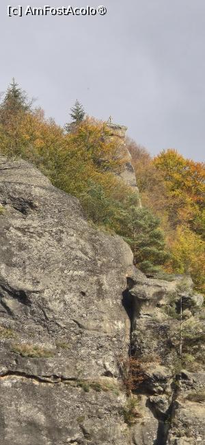 [P56] 56. Undeva acolo sus se vede o ctuce. Dar nu oare a fu locul unde am fost noi. » foto by msnd
 - 
<span class="allrVoted glyphicon glyphicon-heart hidden" id="av1504654"></span>
<a class="m-l-10 hidden" id="sv1504654" onclick="voting_Foto_DelVot(,1504654,4219)" role="button">șterge vot <span class="glyphicon glyphicon-remove"></span></a>
<a id="v91504654" class=" c-red"  onclick="voting_Foto_SetVot(1504654)" role="button"><span class="glyphicon glyphicon-heart-empty"></span> <b>LIKE</b> = Votează poza</a> <img class="hidden"  id="f1504654W9" src="/imagini/loader.gif" border="0" /><span class="AjErrMes hidden" id="e1504654ErM"></span>