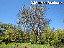 [P54] Parcul Ștrand din Pitești » foto by mariana.olaru
 - 
<span class="allrVoted glyphicon glyphicon-heart hidden" id="av306865"></span>
<a class="m-l-10 hidden" id="sv306865" onclick="voting_Foto_DelVot(,306865,4219)" role="button">șterge vot <span class="glyphicon glyphicon-remove"></span></a>
<a id="v9306865" class=" c-red"  onclick="voting_Foto_SetVot(306865)" role="button"><span class="glyphicon glyphicon-heart-empty"></span> <b>LIKE</b> = Votează poza</a> <img class="hidden"  id="f306865W9" src="/imagini/loader.gif" border="0" /><span class="AjErrMes hidden" id="e306865ErM"></span>