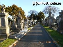 [P18] Dublin - Glasnevin Cemetery & Glasnevin Museum » foto by Diaura*
 - 
<span class="allrVoted glyphicon glyphicon-heart hidden" id="av398580"></span>
<a class="m-l-10 hidden" id="sv398580" onclick="voting_Foto_DelVot(,398580,4261)" role="button">șterge vot <span class="glyphicon glyphicon-remove"></span></a>
<a id="v9398580" class=" c-red"  onclick="voting_Foto_SetVot(398580)" role="button"><span class="glyphicon glyphicon-heart-empty"></span> <b>LIKE</b> = Votează poza</a> <img class="hidden"  id="f398580W9" src="/imagini/loader.gif" border="0" /><span class="AjErrMes hidden" id="e398580ErM"></span>