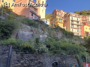 [P12] Manarola - la pas prin Manarola » foto by mishu
 - 
<span class="allrVoted glyphicon glyphicon-heart hidden" id="av1290447"></span>
<a class="m-l-10 hidden" id="sv1290447" onclick="voting_Foto_DelVot(,1290447,4285)" role="button">șterge vot <span class="glyphicon glyphicon-remove"></span></a>
<a id="v91290447" class=" c-red"  onclick="voting_Foto_SetVot(1290447)" role="button"><span class="glyphicon glyphicon-heart-empty"></span> <b>LIKE</b> = Votează poza</a> <img class="hidden"  id="f1290447W9" src="/imagini/loader.gif" border="0" /><span class="AjErrMes hidden" id="e1290447ErM"></span>