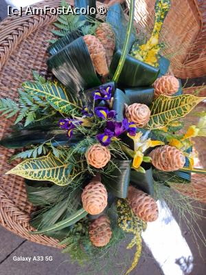 [P20] Festivalul Florilor din Madeira » foto by nicole33
 - 
<span class="allrVoted glyphicon glyphicon-heart hidden" id="av1492440"></span>
<a class="m-l-10 hidden" id="sv1492440" onclick="voting_Foto_DelVot(,1492440,4289)" role="button">șterge vot <span class="glyphicon glyphicon-remove"></span></a>
<a id="v91492440" class=" c-red"  onclick="voting_Foto_SetVot(1492440)" role="button"><span class="glyphicon glyphicon-heart-empty"></span> <b>LIKE</b> = Votează poza</a> <img class="hidden"  id="f1492440W9" src="/imagini/loader.gif" border="0" /><span class="AjErrMes hidden" id="e1492440ErM"></span>