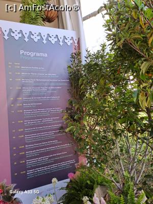 [P42] Festivalul Florilor din Madeira - programul atelierelor de creaţie » foto by nicole33
 - 
<span class="allrVoted glyphicon glyphicon-heart hidden" id="av1492462"></span>
<a class="m-l-10 hidden" id="sv1492462" onclick="voting_Foto_DelVot(,1492462,4289)" role="button">șterge vot <span class="glyphicon glyphicon-remove"></span></a>
<a id="v91492462" class=" c-red"  onclick="voting_Foto_SetVot(1492462)" role="button"><span class="glyphicon glyphicon-heart-empty"></span> <b>LIKE</b> = Votează poza</a> <img class="hidden"  id="f1492462W9" src="/imagini/loader.gif" border="0" /><span class="AjErrMes hidden" id="e1492462ErM"></span>
