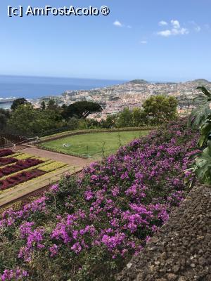 [P50] Grădina botanică din Funchal - flori, oraşul şi Atlanticul » foto by nicole33
 - 
<span class="allrVoted glyphicon glyphicon-heart hidden" id="av1497763"></span>
<a class="m-l-10 hidden" id="sv1497763" onclick="voting_Foto_DelVot(,1497763,4289)" role="button">șterge vot <span class="glyphicon glyphicon-remove"></span></a>
<a id="v91497763" class=" c-red"  onclick="voting_Foto_SetVot(1497763)" role="button"><span class="glyphicon glyphicon-heart-empty"></span> <b>LIKE</b> = Votează poza</a> <img class="hidden"  id="f1497763W9" src="/imagini/loader.gif" border="0" /><span class="AjErrMes hidden" id="e1497763ErM"></span>