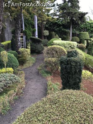 [P80] Grădina botanică din Funchal » foto by nicole33
 - 
<span class="allrVoted glyphicon glyphicon-heart hidden" id="av1497793"></span>
<a class="m-l-10 hidden" id="sv1497793" onclick="voting_Foto_DelVot(,1497793,4289)" role="button">șterge vot <span class="glyphicon glyphicon-remove"></span></a>
<a id="v91497793" class=" c-red"  onclick="voting_Foto_SetVot(1497793)" role="button"><span class="glyphicon glyphicon-heart-empty"></span> <b>LIKE</b> = Votează poza</a> <img class="hidden"  id="f1497793W9" src="/imagini/loader.gif" border="0" /><span class="AjErrMes hidden" id="e1497793ErM"></span>