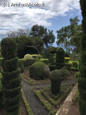 [P84] Grădina botanică din Funchal » foto by nicole33
 - 
<span class="allrVoted glyphicon glyphicon-heart hidden" id="av1497797"></span>
<a class="m-l-10 hidden" id="sv1497797" onclick="voting_Foto_DelVot(,1497797,4289)" role="button">șterge vot <span class="glyphicon glyphicon-remove"></span></a>
<a id="v91497797" class=" c-red"  onclick="voting_Foto_SetVot(1497797)" role="button"><span class="glyphicon glyphicon-heart-empty"></span> <b>LIKE</b> = Votează poza</a> <img class="hidden"  id="f1497797W9" src="/imagini/loader.gif" border="0" /><span class="AjErrMes hidden" id="e1497797ErM"></span>