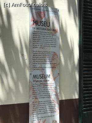 [P97] Grădina botanică din Funchal - informaţii despre Muzeul de Istorie Naturală » foto by nicole33
 - 
<span class="allrVoted glyphicon glyphicon-heart hidden" id="av1497810"></span>
<a class="m-l-10 hidden" id="sv1497810" onclick="voting_Foto_DelVot(,1497810,4289)" role="button">șterge vot <span class="glyphicon glyphicon-remove"></span></a>
<a id="v91497810" class=" c-red"  onclick="voting_Foto_SetVot(1497810)" role="button"><span class="glyphicon glyphicon-heart-empty"></span> <b>LIKE</b> = Votează poza</a> <img class="hidden"  id="f1497810W9" src="/imagini/loader.gif" border="0" /><span class="AjErrMes hidden" id="e1497810ErM"></span>