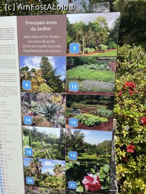 [P99] Grădina botanică din Funchal - principalele zone din grădină » foto by nicole33
 - 
<span class="allrVoted glyphicon glyphicon-heart hidden" id="av1497812"></span>
<a class="m-l-10 hidden" id="sv1497812" onclick="voting_Foto_DelVot(,1497812,4289)" role="button">șterge vot <span class="glyphicon glyphicon-remove"></span></a>
<a id="v91497812" class=" c-red"  onclick="voting_Foto_SetVot(1497812)" role="button"><span class="glyphicon glyphicon-heart-empty"></span> <b>LIKE</b> = Votează poza</a> <img class="hidden"  id="f1497812W9" src="/imagini/loader.gif" border="0" /><span class="AjErrMes hidden" id="e1497812ErM"></span>