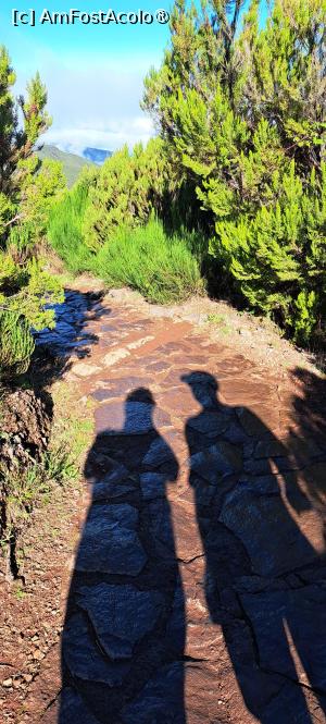 [P14] Noi doi pe traseu » foto by irinad
 - 
<span class="allrVoted glyphicon glyphicon-heart hidden" id="av1506912"></span>
<a class="m-l-10 hidden" id="sv1506912" onclick="voting_Foto_DelVot(,1506912,4289)" role="button">șterge vot <span class="glyphicon glyphicon-remove"></span></a>
<a id="v91506912" class=" c-red"  onclick="voting_Foto_SetVot(1506912)" role="button"><span class="glyphicon glyphicon-heart-empty"></span> <b>LIKE</b> = Votează poza</a> <img class="hidden"  id="f1506912W9" src="/imagini/loader.gif" border="0" /><span class="AjErrMes hidden" id="e1506912ErM"></span>