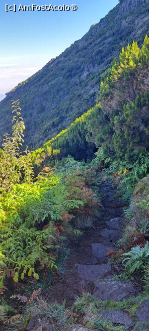 [P19] Așa arată poteca 1.1. » foto by irinad
 - 
<span class="allrVoted glyphicon glyphicon-heart hidden" id="av1506917"></span>
<a class="m-l-10 hidden" id="sv1506917" onclick="voting_Foto_DelVot(,1506917,4289)" role="button">șterge vot <span class="glyphicon glyphicon-remove"></span></a>
<a id="v91506917" class=" c-red"  onclick="voting_Foto_SetVot(1506917)" role="button"><span class="glyphicon glyphicon-heart-empty"></span> <b>LIKE</b> = Votează poza</a> <img class="hidden"  id="f1506917W9" src="/imagini/loader.gif" border="0" /><span class="AjErrMes hidden" id="e1506917ErM"></span>