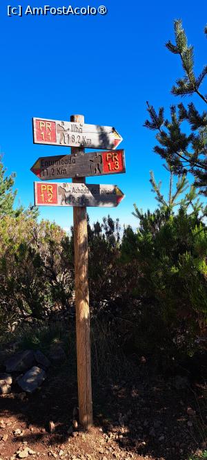 [P29] Alte săgeți indicatoare ne arată că mai avem un pic » foto by irinad
 - 
<span class="allrVoted glyphicon glyphicon-heart hidden" id="av1506927"></span>
<a class="m-l-10 hidden" id="sv1506927" onclick="voting_Foto_DelVot(,1506927,4289)" role="button">șterge vot <span class="glyphicon glyphicon-remove"></span></a>
<a id="v91506927" class=" c-red"  onclick="voting_Foto_SetVot(1506927)" role="button"><span class="glyphicon glyphicon-heart-empty"></span> <b>LIKE</b> = Votează poza</a> <img class="hidden"  id="f1506927W9" src="/imagini/loader.gif" border="0" /><span class="AjErrMes hidden" id="e1506927ErM"></span>