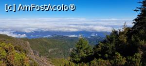 [P34] Ne mai aruncăm privirile în jur » foto by irinad
 - 
<span class="allrVoted glyphicon glyphicon-heart hidden" id="av1506932"></span>
<a class="m-l-10 hidden" id="sv1506932" onclick="voting_Foto_DelVot(,1506932,4289)" role="button">șterge vot <span class="glyphicon glyphicon-remove"></span></a>
<a id="v91506932" class=" c-red"  onclick="voting_Foto_SetVot(1506932)" role="button"><span class="glyphicon glyphicon-heart-empty"></span> <b>LIKE</b> = Votează poza</a> <img class="hidden"  id="f1506932W9" src="/imagini/loader.gif" border="0" /><span class="AjErrMes hidden" id="e1506932ErM"></span>