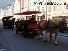 [P14] Trasuri in Innsbruck....cai superbi ,bine ingrijiti. » foto by BOGDAN DSN
 - 
<span class="allrVoted glyphicon glyphicon-heart hidden" id="av52988"></span>
<a class="m-l-10 hidden" id="sv52988" onclick="voting_Foto_DelVot(,52988,4343)" role="button">șterge vot <span class="glyphicon glyphicon-remove"></span></a>
<a id="v952988" class=" c-red"  onclick="voting_Foto_SetVot(52988)" role="button"><span class="glyphicon glyphicon-heart-empty"></span> <b>LIKE</b> = Votează poza</a> <img class="hidden"  id="f52988W9" src="/imagini/loader.gif" border="0" /><span class="AjErrMes hidden" id="e52988ErM"></span>